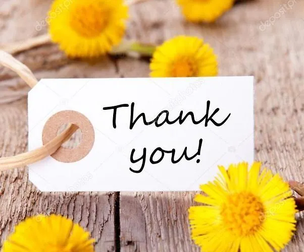 New Brand Villas: Beachside Retreat With & Heated Pool Villa